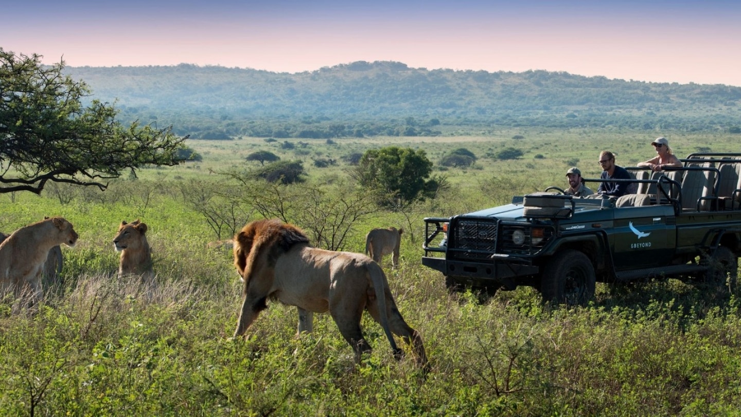 african eco safaris