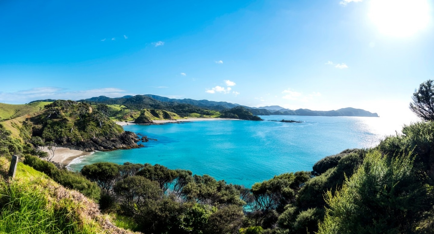 new zealand north island group tours